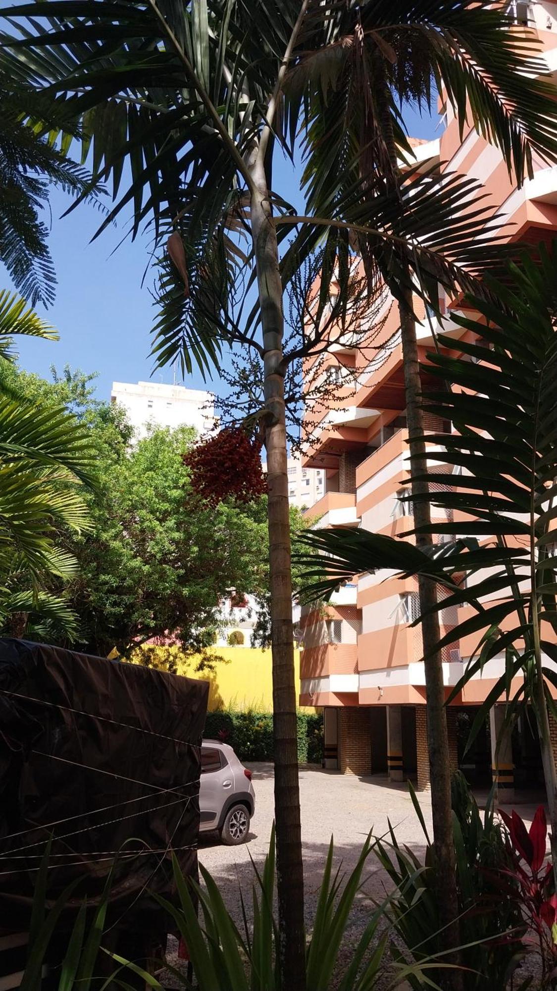 Apartamento Itaigara Salvador Esterno foto